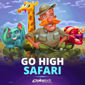 Go High Safari